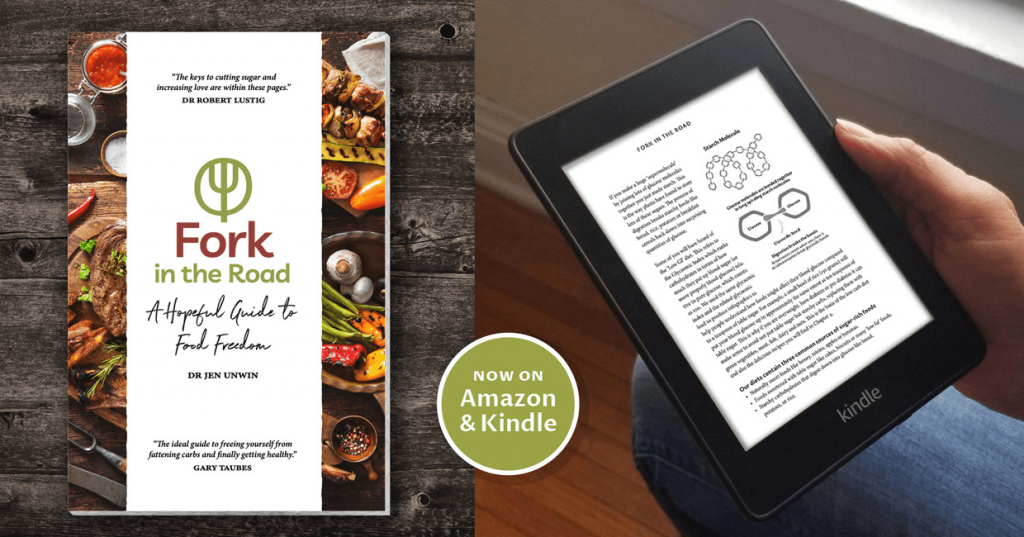 Fork in the Road Book and Kindle